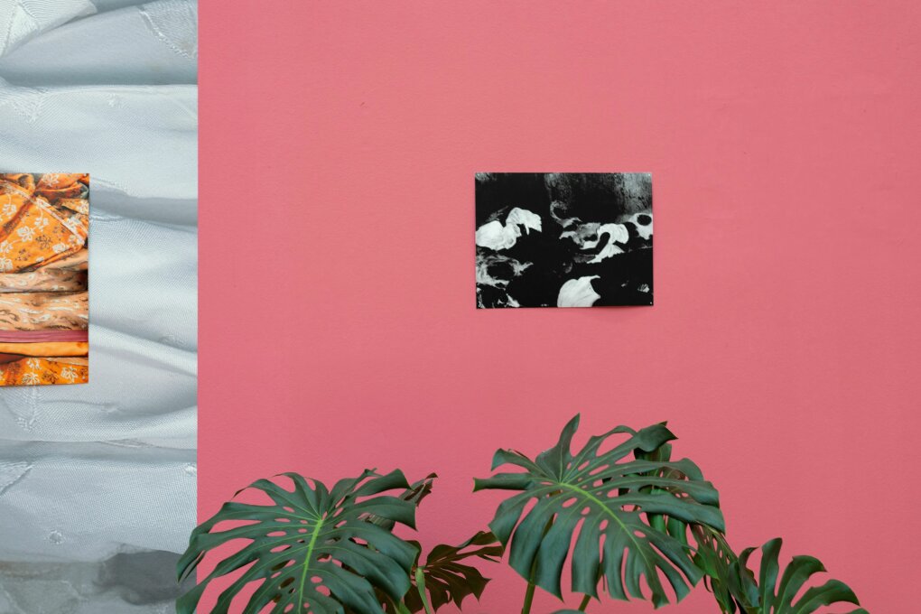 Nejisté domovy: Anna Gollwitzer